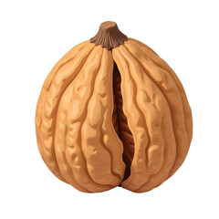 walnut isolated with cracked shell on transparent background 