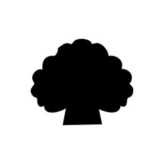 broccoli vegetable vector