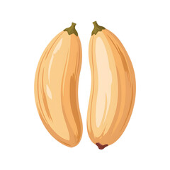 Cashew nuts displayed on a transparent background  