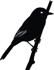 Elegant Black Bird Silhouette Vector Art on Branch, Isolated Minimalist Wildlife Design Element, Perfect for Nature Themes, Logos, and Graphic Projects.