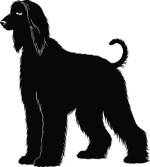 Black Afghan Hound dog silhouette vector, perfect for pet, breed, or animal-themed designs, showcasing the elegant and distinctive profile of this sighthound breed.