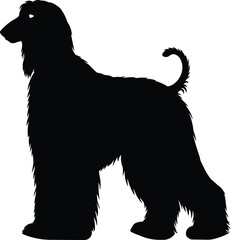 Black Afghan Hound dog silhouette vector, perfect for pet, breed, or animal-themed designs, showcasing the elegant and distinctive profile of this sighthound breed.