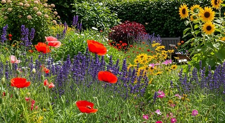 Colorful Flower Garden with Red Poppies Sunflowers and Purple Lavender in Bloom