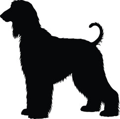 Black Afghan Hound dog silhouette vector, perfect for pet, breed, or animal-themed designs, showcasing the elegant and distinctive profile of this sighthound breed.