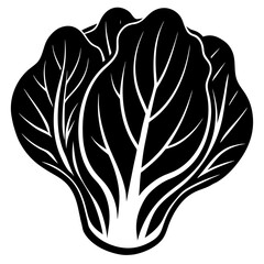 Vector art of black and white vector illustration of bok choy, isolated on white background