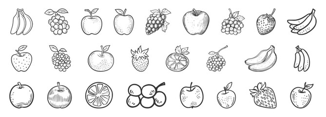 Fruit sketch and outline vector set in hand-drawn doodle style with apples, bananas, grapes, and more