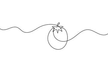 Obraz premium Continuous one line tomato drawing minimal style outline vector isolated illustration 