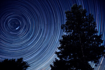Milky Way star-trails and rural countryside tree silhouettes