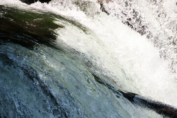 Dynamic Waterfall with Submerged Log and Rocky Flow