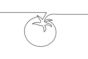 Continuous one line tomato drawing minimal style outline vector isolated illustration
