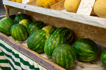 shelves in a vegetable store, brightly colored vegetables and fruits watermelons