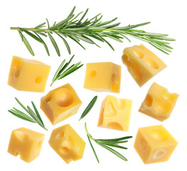Cheese cubes and fresh rosemary isolated on white, set