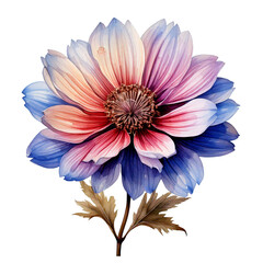 Beautiful watercolor flower  white background 