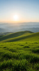 Fototapeta premium Green rolling hills under a bright sun at dawn