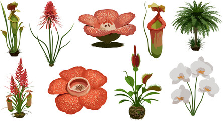 Paddleboarding essentials collection showing boards, paddle, equipment, clothing, and accessories ready for adventure