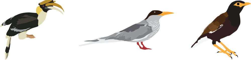 birds of Kerala clipart or illustration set isolated on a transparent background