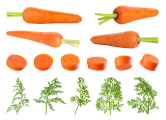 Fresh carrots and green leaves isolated on white, set
