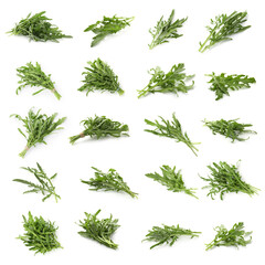 Fresh green arugula on white background, set