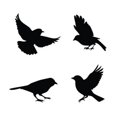 Obraz premium Canary and Sparrow Bird Silhouette Set Minimal Vector Birds in Singing, Flying and Perched Poses