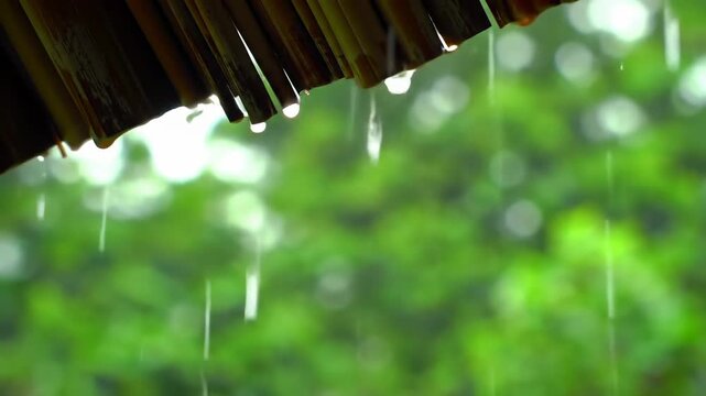 Rain falling on a thatched roof