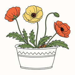 Vector art of poppies in a decorative pot isolated on white background