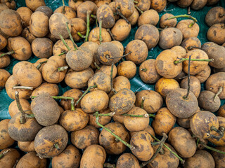 A large, detailed pile of brown, round buah mata kucing fruit, with their stems and speckled skin visible, displayed in an abundant and earthy arrangement, likely at a market stall.