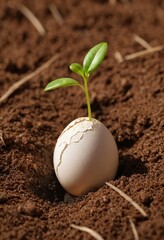 Life's Beginning: A delicate sprout emerges from a cracked eggshell, nestled in rich earth, symbolizing new life, growth, and potential. Ai generated image
