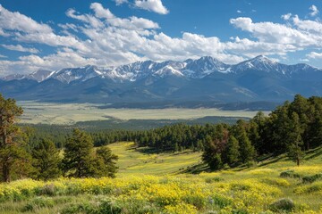 Obraz premium Mountain vista with wildflowers (1)