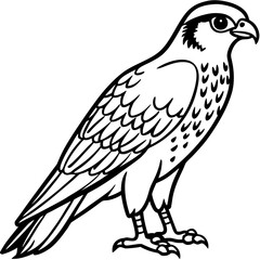 Obraz premium Vector art of a majestic falcon stands tall, its sharp gaze piercing through the air in this vector illustration