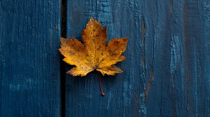 Single Autumn Leaf on Square Wooden Plank Against Dark Blue Wood Background .