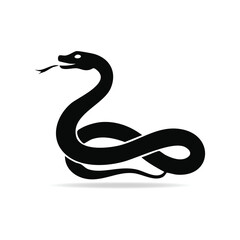 black and white snake