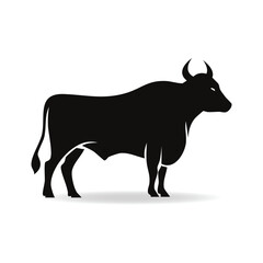 Powerful Black Silhouette of a Bull Standing Calmly