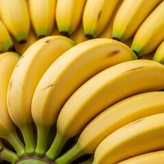 Bright yellow bananas still arranged in bunches, each fruit looks perfectly ripe with a golden yellow color