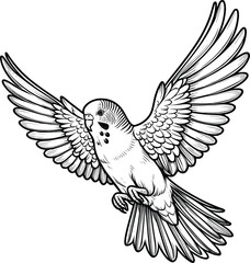 Flying Budgerigar line art vector illustration isolated on a white background