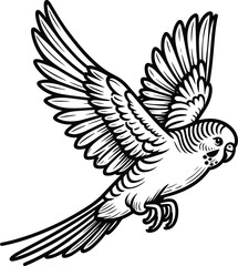 Flying Budgerigar line art vector illustration isolated on a white background
