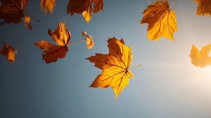 autumn leaves background