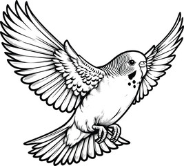 Flying Budgerigar line art vector illustration isolated on a white background