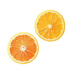 Fresh Orange and Lemon Isolated on White Background for Design Projects