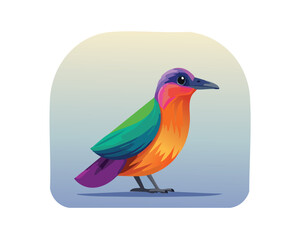 BIRD Illustration