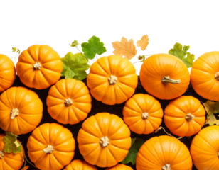 Top-Down View of Pumpkin Patch Spread in Loose Pattern, Isolated on Transparent Background