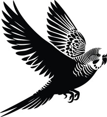 Flying Budgerigar silhouette vector illustration isolated on a white background