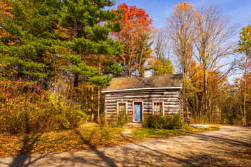  
A cozy log cabin sits nestled in a vibrant autumn forest, surrounded by colourful fall foliage and bathed in warm sunlight. A