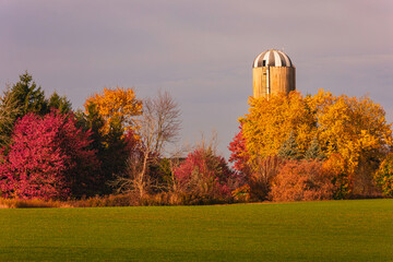 fall colours around canadian farm, colourful trees in autumn, autumn in Canada