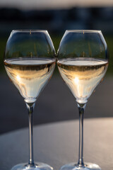 Glasses of white sparkling wine brut, grand reserve, champagne on green hilly vineyards in old wine making grand cru Ay-Champagne village in Vallee de la Marne, Champagne, France