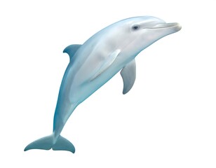 Fototapeta premium Dolphin leaping, light blue tones