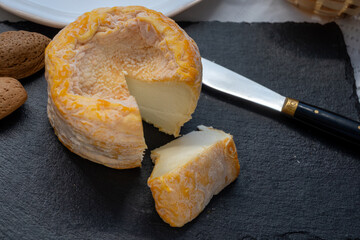 French Langres soft cows crumbly cheese with washed rind structure made in Champagne - Ardenne...