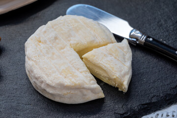 French dauphinois cheeses collection, Saint-Marcellin, creamy Saint- Felicien cow's milk cheese with white mold from Rhône-Alpes region of France