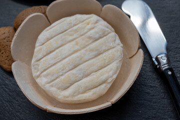French dauphinois cheeses collection, Saint-Marcellin, creamy Saint- Felicien cow's milk cheese with white mold from Rhône-Alpes region of France