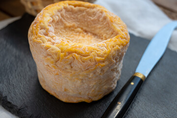 French Langres soft cows crumbly cheese with washed rind structure made in Champagne - Ardenne region