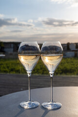 Glasses of white sparkling wine brut, grand reserve, champagne on green hilly vineyards in old wine making grand cru Ay-Champagne village in Vallee de la Marne, Champagne, France